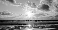 Paarden met tegelicht op het strand in Zwart/Wit van Alex Hiemstra thumbnail