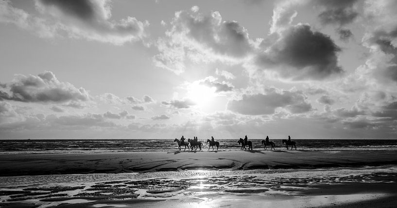 Paarden met tegelicht op het strand in Zwart/Wit van Alex Hiemstra