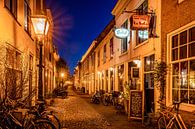 Leiden in Lockdown: La Bota van Carla Matthee thumbnail