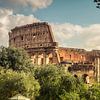 Het Colosseum  (Colosseo) in Rome van Justin Suijk