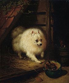 Henriëtte Ronner-Knip - Een ongewenste indringer