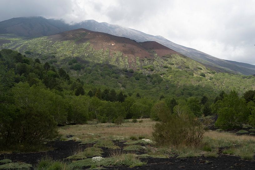 Nature van Michelle van Merrienboer