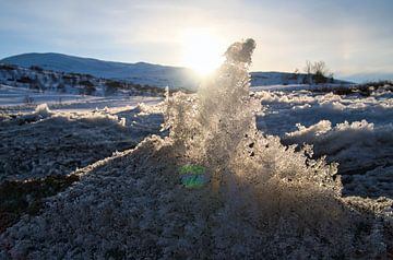 Noors hooggebergte, besneeuwde bergen en landschap van Martin Köbsch