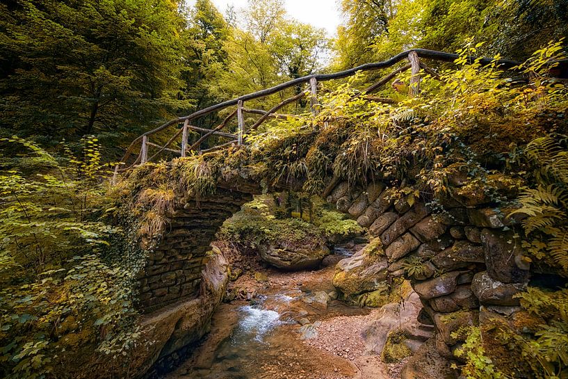 The Müllerthal, Luxembourg by Tilly Meijer