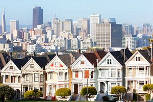 Painted ladies van Teuni's Dreams of Reality