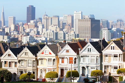 Painted ladies