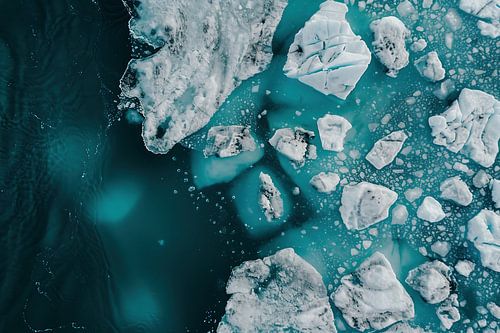 Arctic blue and white