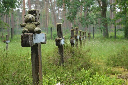 Verlaten beer von Edwin de Zwaan
