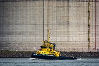 Haven controle op de Maasvlakte.