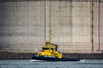 Hafenkontrolle an der Maasvlakte.