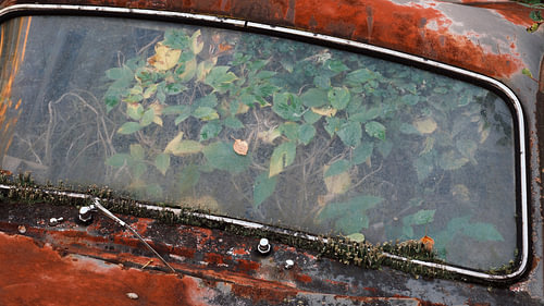 Faded glory