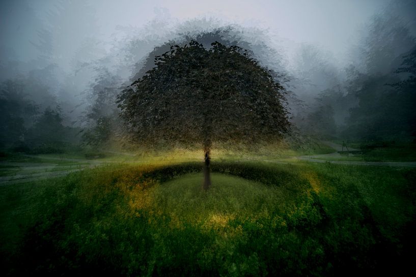Eden place by Milan Malovrh
