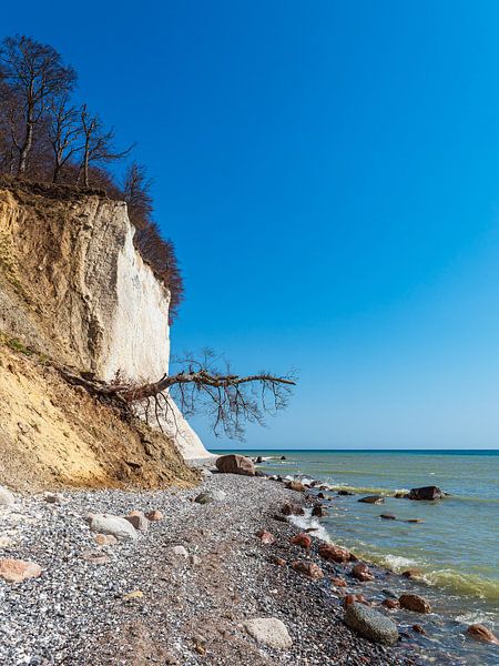 Chalk cliffs on the coast of the Baltic Sea on the island of Rügen by Rico Ködder
