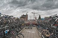 fietsen van Willem  Overkleeft thumbnail