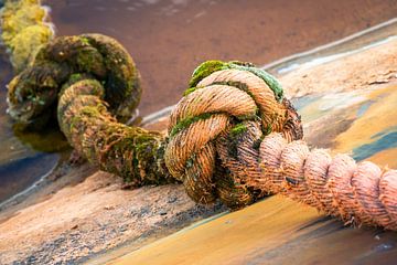 Seil mit Knoten im Wasser am Wasserrand von Henk Hulshof