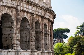 Colosseum von Davy Reitsma