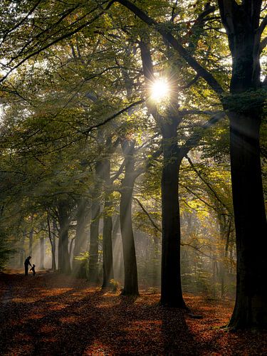 Herfst man met hond