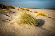 Amelander dune by Martien Hoogebeen Fotografie thumbnail