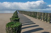 Strandpfähle an der Küste von Zeeland
