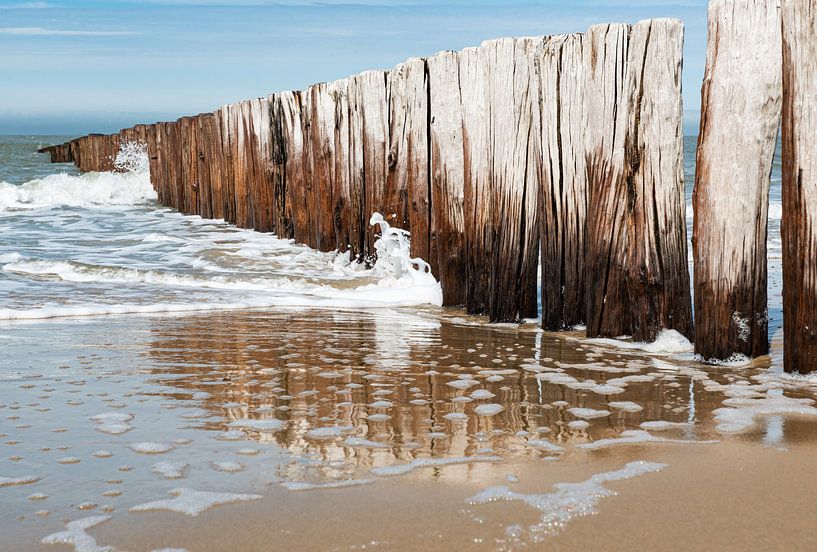 The seaside, inspiration for every artist by Werner Lerooy