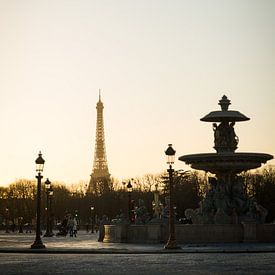 Eiffelturm bei Sonnenuntergang, Paris. von Bart van der Heijden