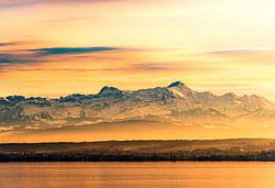 Bodensee und Schweizer Alpen im Herbst