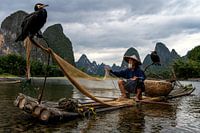Fish with cormorants