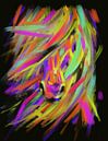 Paard Rainbow Hair van Go van Kampen thumbnail