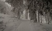 Altkönig / Taunus
