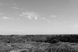 Photos de l'île de Spiekeroog, située en Frise orientale, dans la mer du Nord. sur Bianca Meyering Fotos - BMF