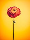 Bloemen Portret van Virgil Quinn - Decorative Arts thumbnail