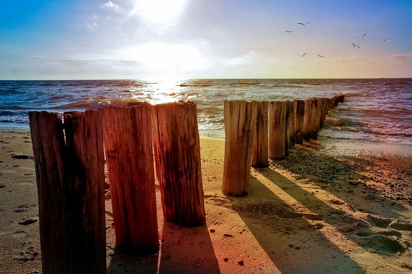 Noordzee idylle van Claudia Evans