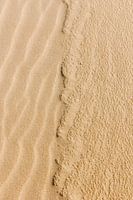 Wavy sand