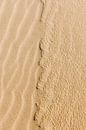 Sand by Sigrid Olschinski thumbnail