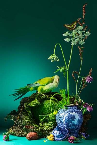 Birds of Paradise by Willy Sengers