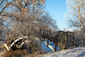 Magdeburg - Stadtpark Rotehorn im Winter