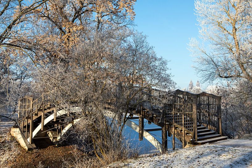 Magdeburg - Rotehorn City Park in Winter by t.ART