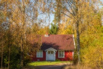 Chalet suédois dans la forêt d'automne sur Connie de Graaf