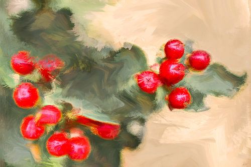 Skimmia Silence en rouge