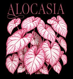 Alocasia von RMPGEMS