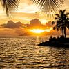 Golden Glow in Tahiti by Nancy Pauwels Photo