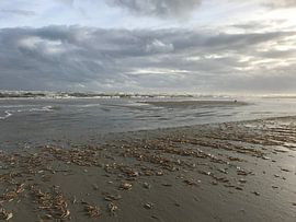 Seelandschaft Ameland von Marlys Natzijl