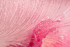 Pink abstract photography: The lines trace the route by Marjolijn van den Berg