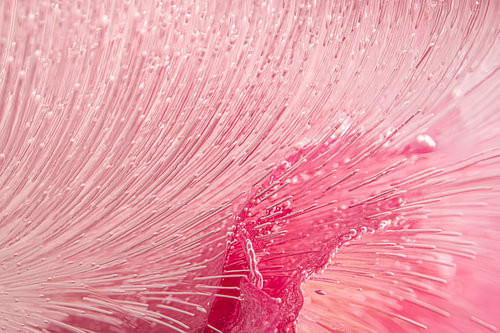Pink abstract photography: The lines trace the route by Marjolijn van den Berg