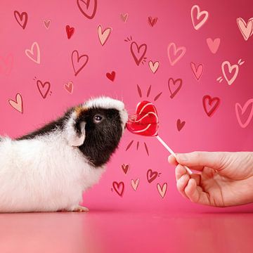 Cavia met hartjes en lolly – romantische dierenfoto met roze achtergrond van Marloes van Antwerpen