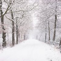 De Narnia wandeling: verloren in sneeuw en tijd