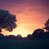 Herfst zonsondergang von Wilfred Chevalking