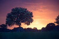 Herfst zonsondergang