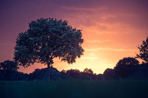 Herfst zonsondergang