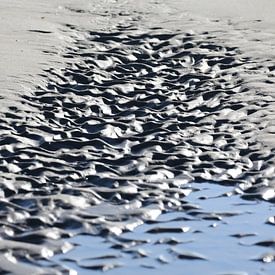 zand van het strand van marijke servaes